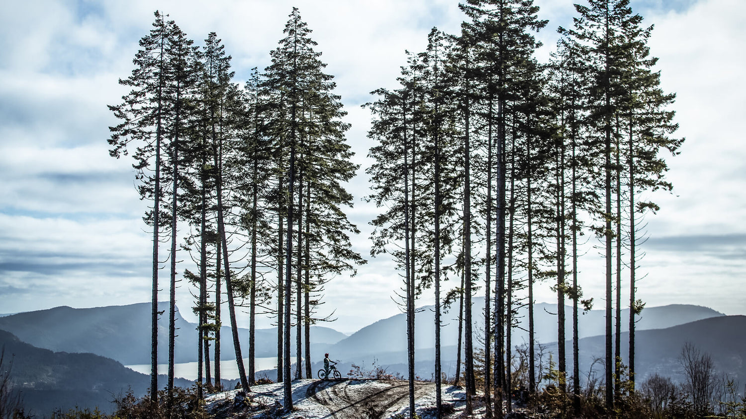 Mischief Women's Collection